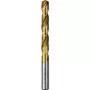 Gręžtuvas HSS Bosch 4,2 mm x 75 mm (2609255096)