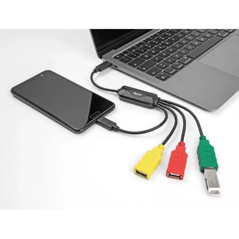 DeLOCK 4 prievadų USB 2.0 kabelinis šakotuvas USB Type-C į 3 x USB-A moteriškas + 1 x USB-C vyriškas