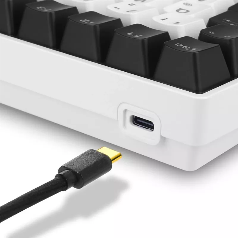 Sharkoon SKILLER SGK50 S3 klaviatūra gaming mechaninė USB QWERTY rusiška balta