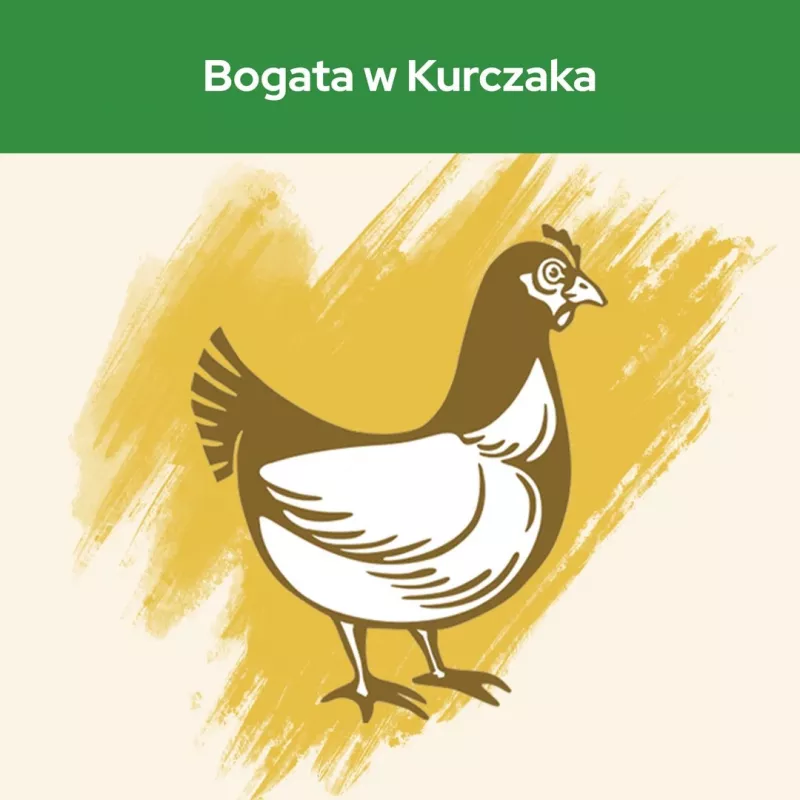 Purina CAT CHOW STERILISED sausas ėdalas katėms 1,5 kg Suaugusios Vištiena