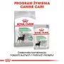 Sausas šunų ėdalas Royal Canin Mini Digestive Care 3 kg – mažos veislės, paukštiena, suaugusiems, virškinimo palaikymui