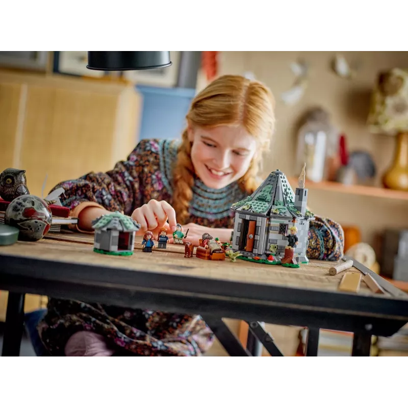 LEGO HARRY POTTER 76428 Hagrido trobelė – netikėtas apsilankymas