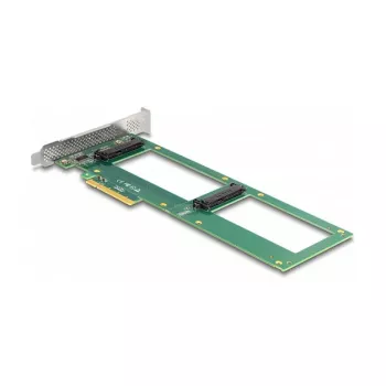 DeLOCK PCI Express 4.0 x8 kortelė su 2 vidiniais U.2 NVMe SFF-8639 prievadais (bifurkacija)
