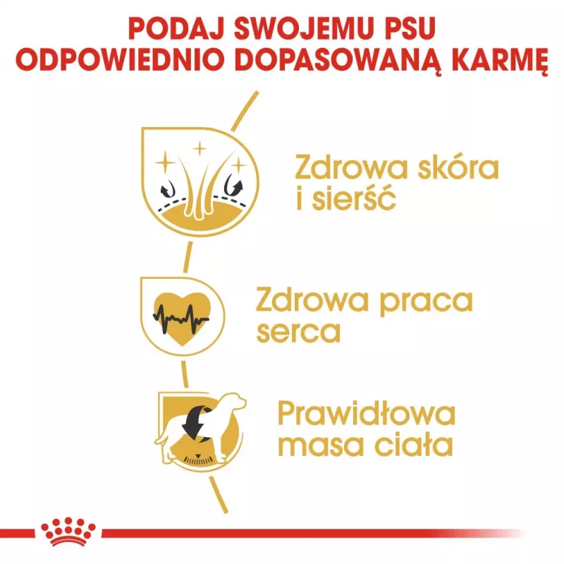 ROYAL CANIN BHN Golden Retriever sausas šunų ėdalas - 12 kg