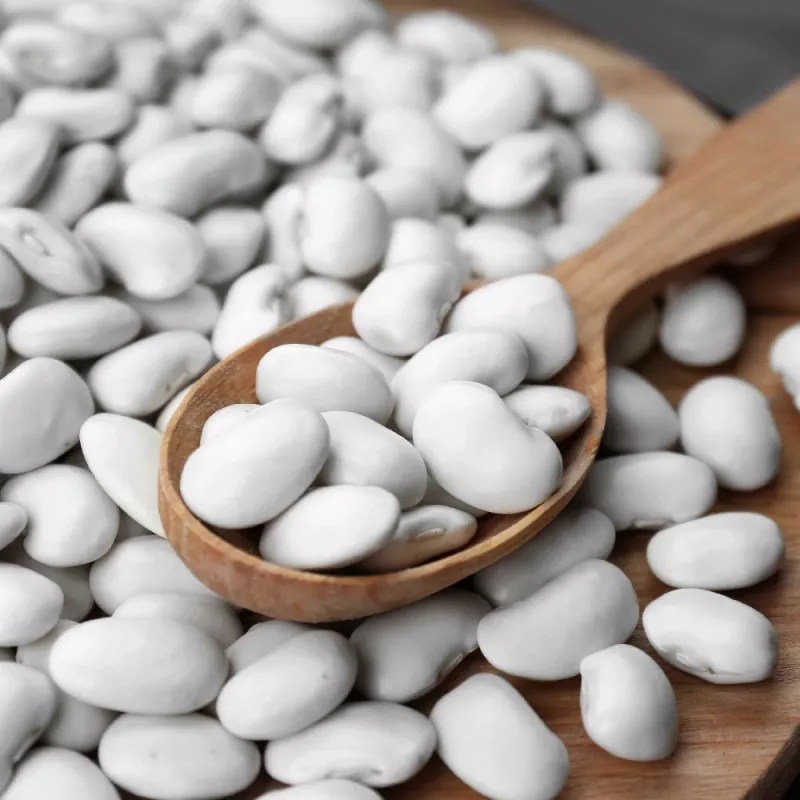 Sėklų pakuotė Seklos LT PNOS — pupelės 'Igłomska' sėklos, 50 g