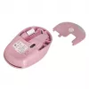 NATEC STORK pelė Home Ambidextrous RF Wireless + USB-A optinė 1600 DPI
