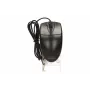 A4Tech OP-620D pelė USB Type-A optinė 1200 DPI ambidekstrinė