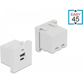 Įkrovimo modulis USB A + USB C DeLOCK 81313