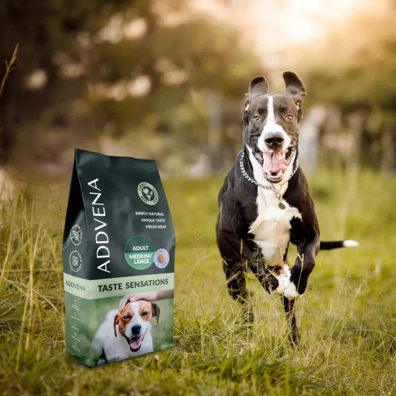 ADDVENA Taste Sensations suaugusiems vidutinių/didelių veislių šunims kalakutiena - sausas ėdalas - 2,5kg