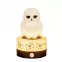 BlueSkyStudios Harry Potter mini lempa USB-C (reguliuojamas ryškumas)