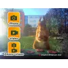 EASYPIX Bird Cam 10123 paukščių kamera 1080p HD naktinis matymas