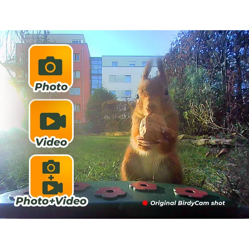 EASYPIX Bird Cam 10123 paukščių kamera 1080p HD naktinis matymas