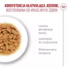 Šlapias kačių ėdalas Royal Canin FHN Ageing 11+ Gravy 12×85 g – visavertis ėdalas senjorams