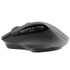 Pelė Tracer Cozy RF 2.4 GHz belaidė optinė dešinei rankai 1600 DPI