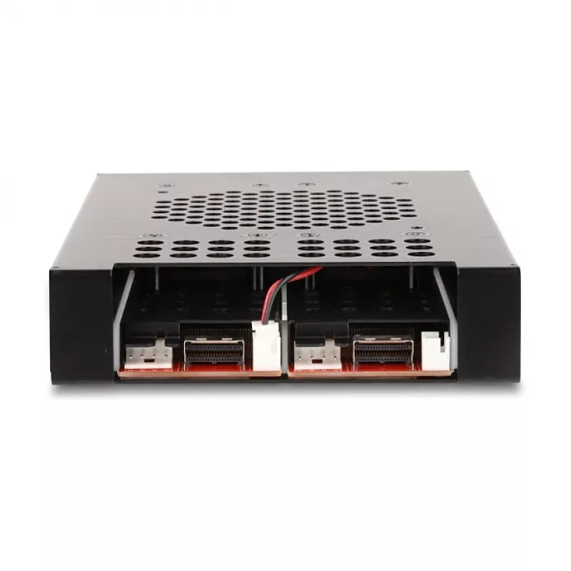 DeLOCK 47117 3,5 colio mobilus krepšelis 2 M.2 NVMe SSD