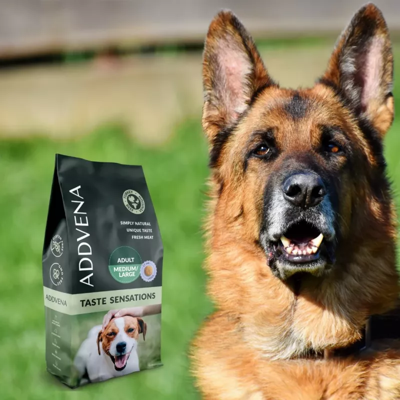 ADDVENA Taste Sensations suaugusiems vidutinių/didelių veislių šunims kalakutiena - sausas ėdalas - 10kg