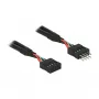 Vidinis USB 2.0 lizdo ilginimo kabelis DeLOCK 0,1 m 2xUSB2.0 10 kontaktų (83872)