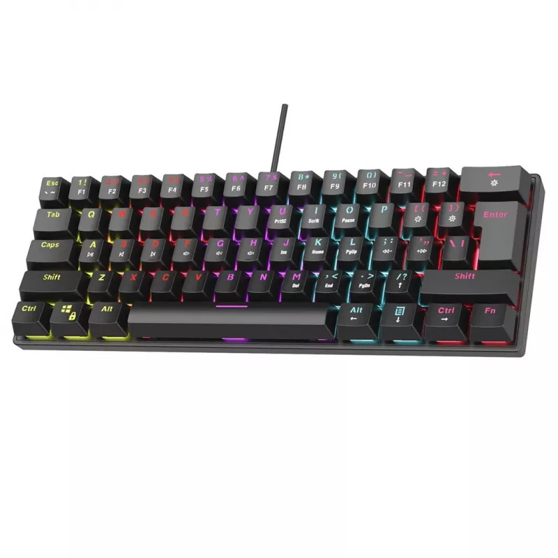 Mechaninė klaviatūra RAMPAGE PLOWER K60 su Blue jungikliais ir RGB foniniu apšvietimu