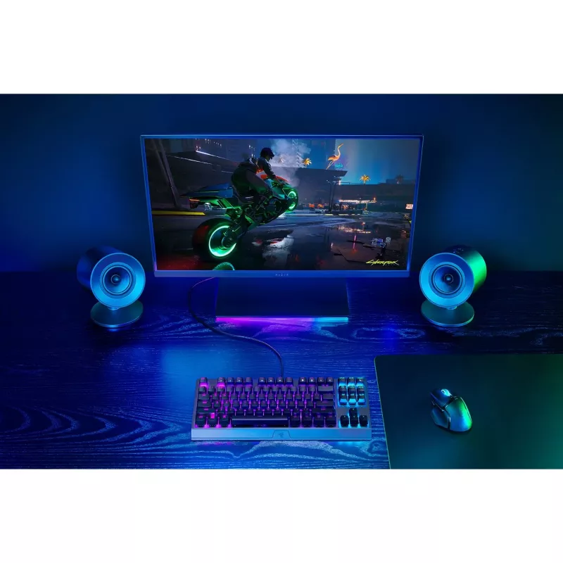 Pilno diapazono garsiakalbis Razer Nommo V2 X 2.0 kanalų