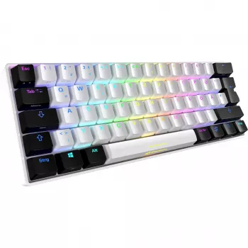 Sharkoon SGK50 S4 klaviatūra žaidimams USB QWERTZ vokiška balta RGB LED