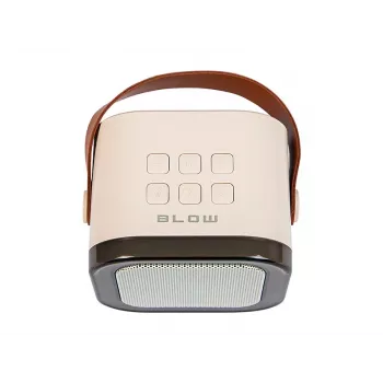 Karaoke garsiakalbis BLOW RGB Bluetooth 30W