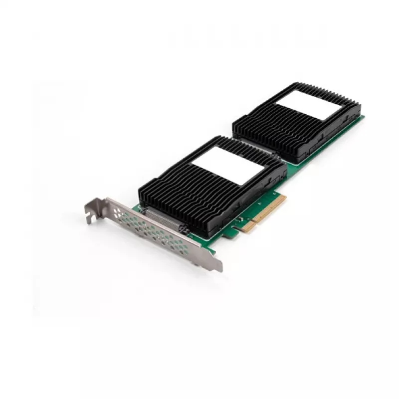 DeLOCK 90151 Vidinė U.2 adapterio PCIe kortelė su LED indikatoriais