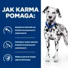 HILL'S Prescription Diet Urinary Care Original – šlapias šunų ėdalas – 370 g