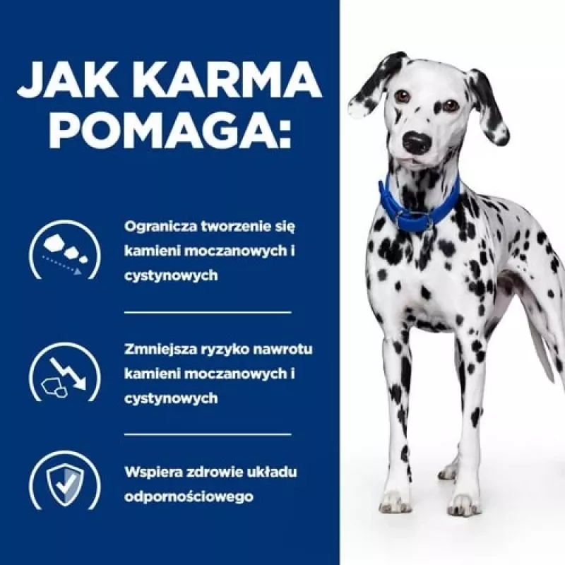 HILL'S Prescription Diet Urinary Care Original – šlapias šunų ėdalas – 370 g