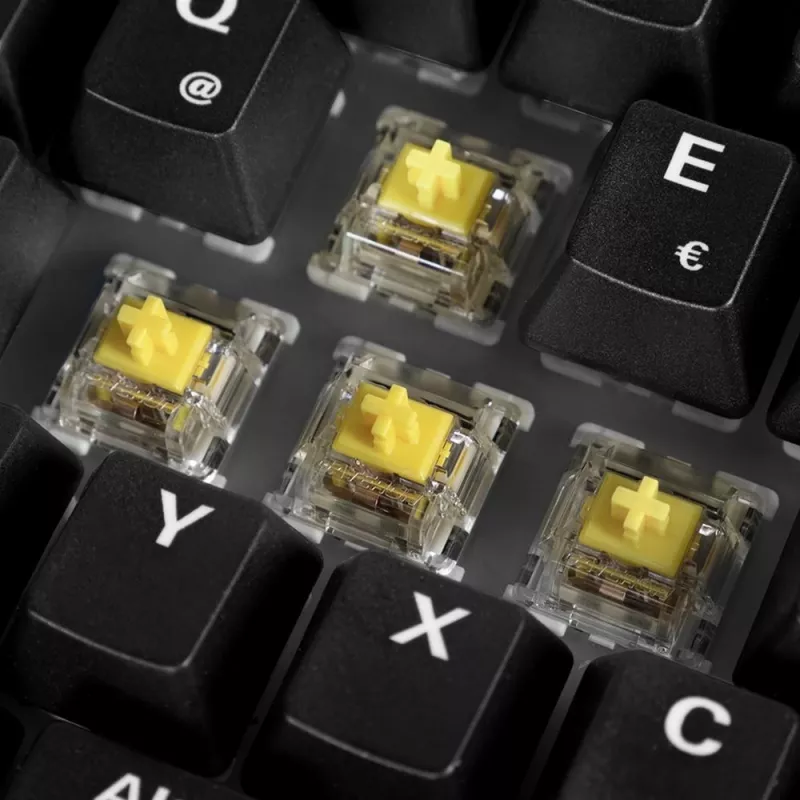 Klaviatūra Sharkoon SGK50 S2, USB, QWERTZ, vokiška, medžio apdaila