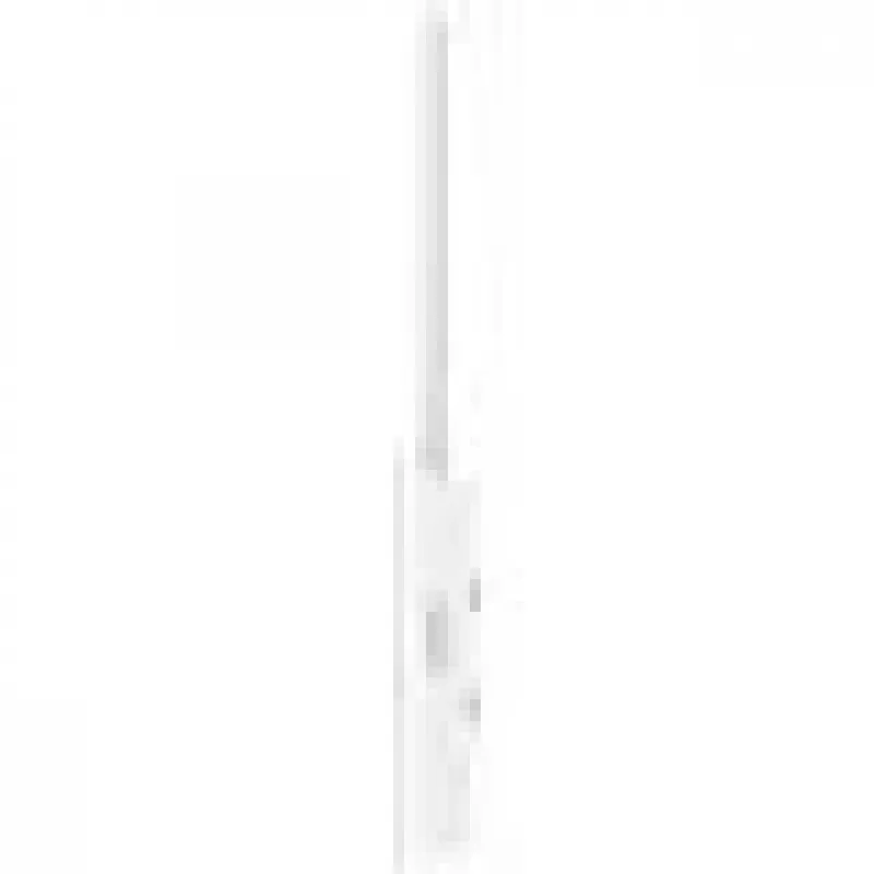 TP-Link Omada EAP603-Outdoor belaidis prieigos taškas 1800 Mbit/s baltas, PoE