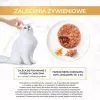 GOURMET GOLD - Sūrus pyragas su vištiena ir morka 85g
