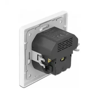 DeLOCK 11489 Sieninis lizdas CEE 7/3 + USB balta 250V 16A