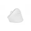 NATEC Crake 2 pelė Universal RF belaidė + Bluetooth optinė 2400 DPI
