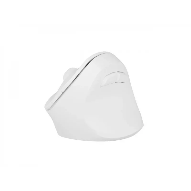 NATEC Crake 2 pelė Universal RF belaidė + Bluetooth optinė 2400 DPI