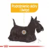 Šlapias šunų ėdalas Royal Canin Dermacomfort Adult 85 g pakelis – jautriai odai, paukštienos skonis, 78% drėgmės