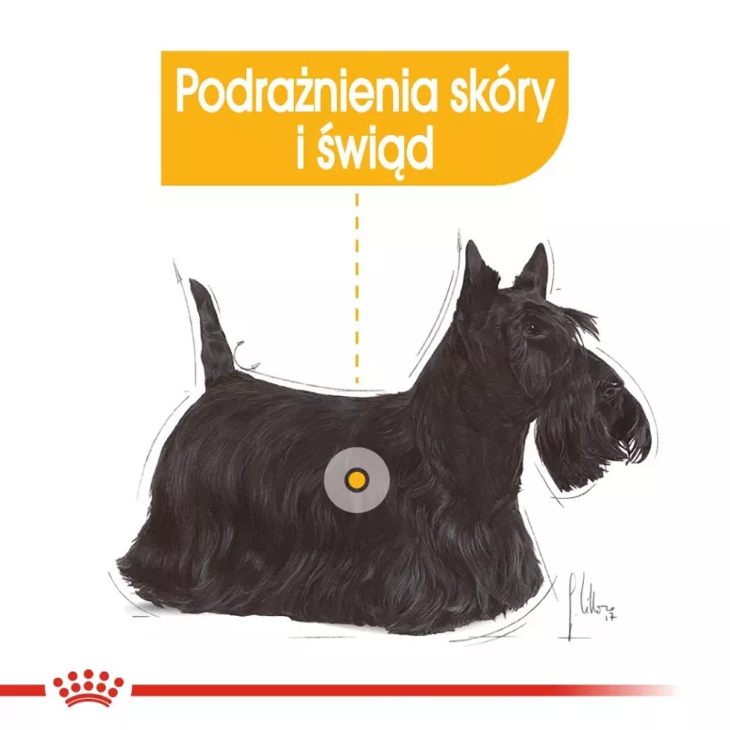 Šlapias šunų ėdalas Royal Canin Dermacomfort Adult 85 g pakelis – jautriai odai, paukštienos skonis, 78% drėgmės