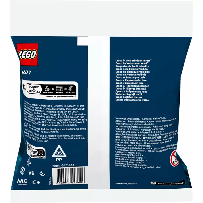 Konstruktorius LEGO Harry Potter rinkinys 30677 – Drakas Užburtojo miške minifigūrėlių scena