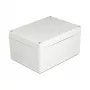 Dėklas DeLOCK montavimo dėklas IP65 vandeniui atsparus 200 x 150 x 100 mm pilkas