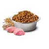 Sausas šunų ėdalas Farmina N&D Ancestral Grain Adult Chicken 15 kg