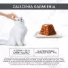 Purina Gourmet Revelations drėgnas ėdalas katėms, gabaliukai drebučiuose su višta, 2 x 57 g