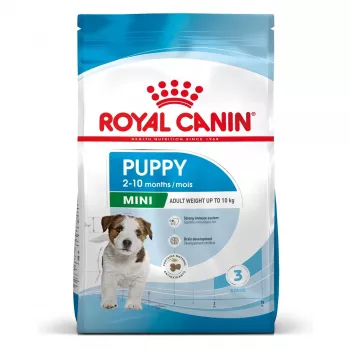ROYAL CANIN Puppy Mini sausas šunų ėdalas 8 kg