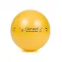 ABS reabilitacinis kamuolys su pompa, 45 cm