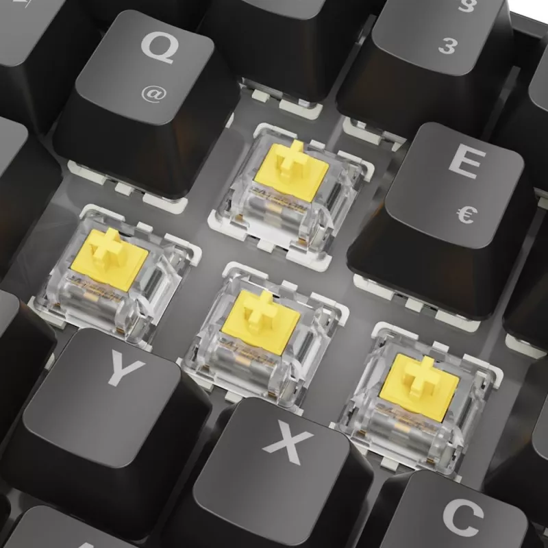 Sharkoon 100065629 klaviatūra Home USB QWERTZ vokiška juoda