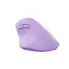 NATEC Crake 2 pelė, universali, dešinei rankai, RF belaidė + Bluetooth, optinė, 2400 DPI