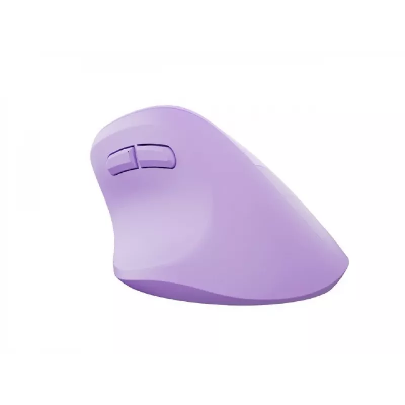 NATEC Crake 2 pelė, universali, dešinei rankai, RF belaidė + Bluetooth, optinė, 2400 DPI