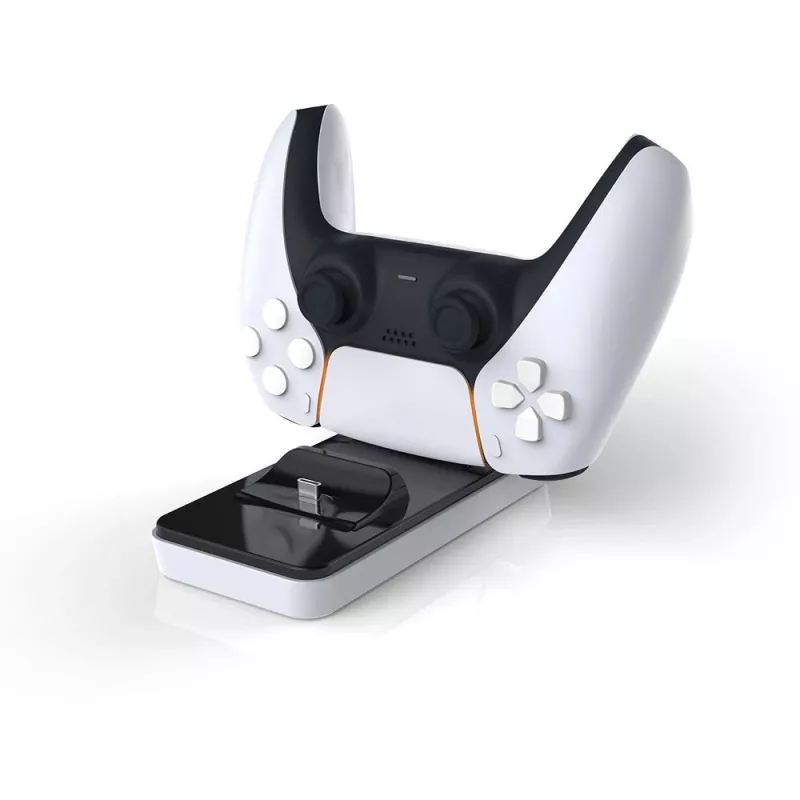 Raptor CS200-LT, vidaus, USB, juoda, balta