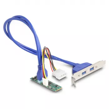 DeLOCK 61065 vidinis USB 3.2 Gen 1 M.2 adapteris