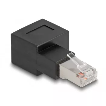 Delock tinklo adapteris - RJ-45 (M) į RJ-45 (W) - CAT 6a - stačiu kampu