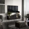 TV spintelė Cama Meble MOUNTAIN 154x40x55 cm – juoda ir auksinė