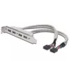 USB 2.0 lizdo laikiklio kabelis 2xIDC (5 kontaktų) / 4xUSB A (vyriškas/moteriškas) pilkas 0,25 m